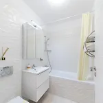 Smile Apartmán Bukurešť