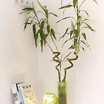 Smile Apartment *